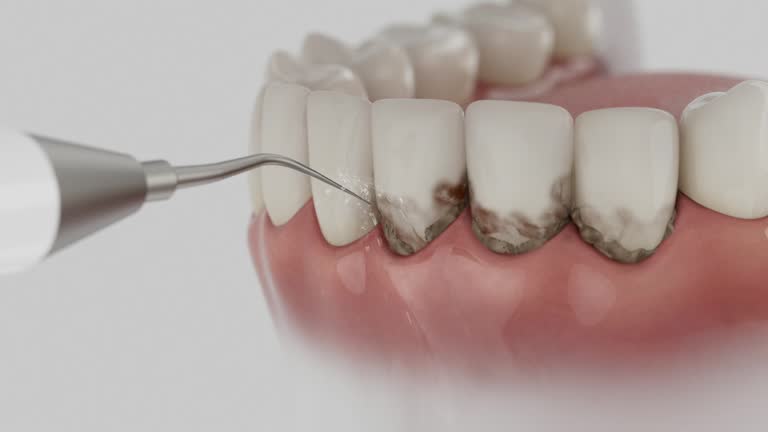 Reliable Dental contractor in Tazewell, VA by Dentist Open Now